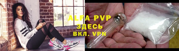 spice Белокуриха