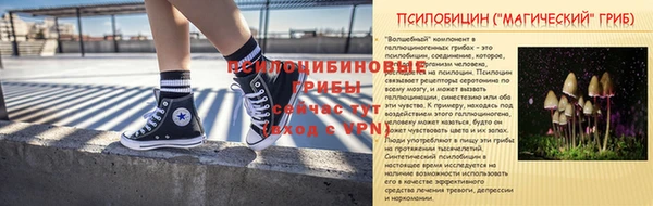 spice Белокуриха